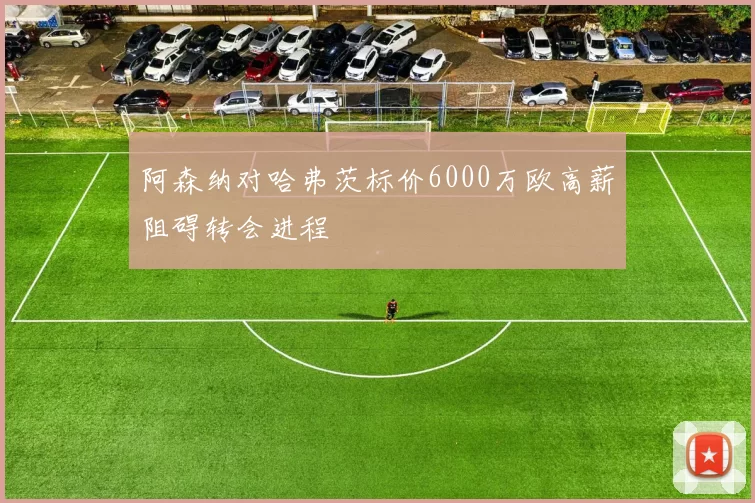 阿森纳对哈弗茨标价6000万欧高薪阻碍转会进程