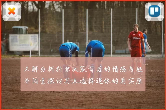 文胖分析科尔决策背后的情感与经济因素探讨其未选择退休的真实原因