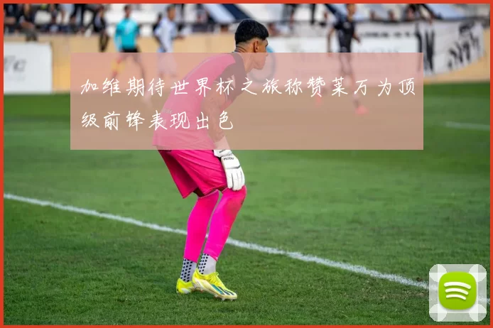 加维期待世界杯之旅称赞莱万为顶级前锋表现出色